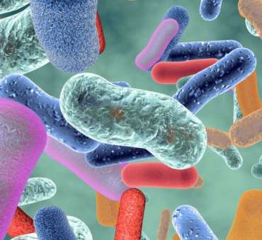 ALERTA POR BROTE BACTERIANO: MILES DE PERSONAS INFECTADAS TRAS FUGA EN UNA FABRICA CHINA