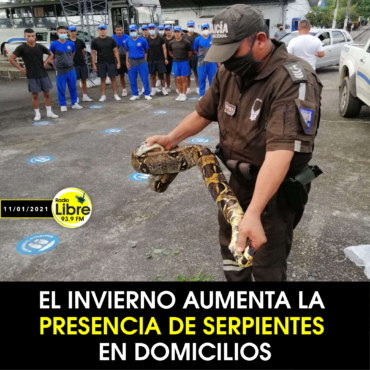 EL INVIERNO AUMENTA LA PRESENCIA DE SERPIENTES EN DOMICILIOS