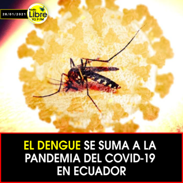 EL DENGUE SE SUMA A LA PANDEMIA DEL COVID-19 EN ECUADOR