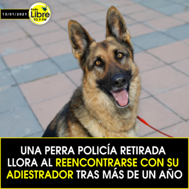UNA PERRA POLICÍA RETIRADA LLORA AL REENCONTRARSE CON SU ADIESTRADOR TRAS MÁS DE UN AÑO