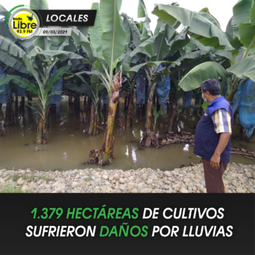 1.379 HECTÁREAS DE CULTIVOS SUFRIERON DAÑOS POR LLUVIAS