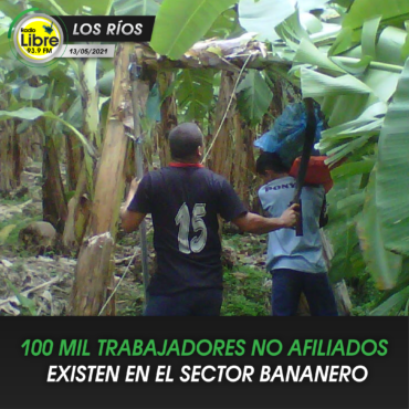 100 MIL TRABAJADORES NO AFILIADOS EXISTEN EN EL SECTOR BANANERO