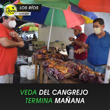 VEDA DEL CANGREJO TERMINA MAÑANA