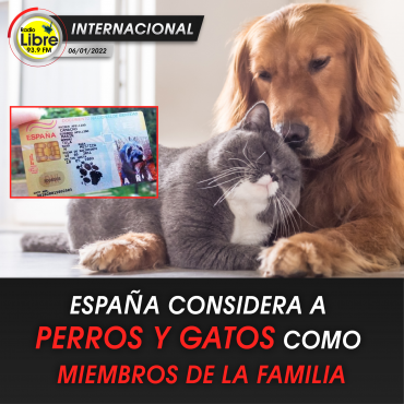 ESPAÑA CONSIDERA A PERROS Y GATOS COMO MIEMBROS DE LA FAMILIA